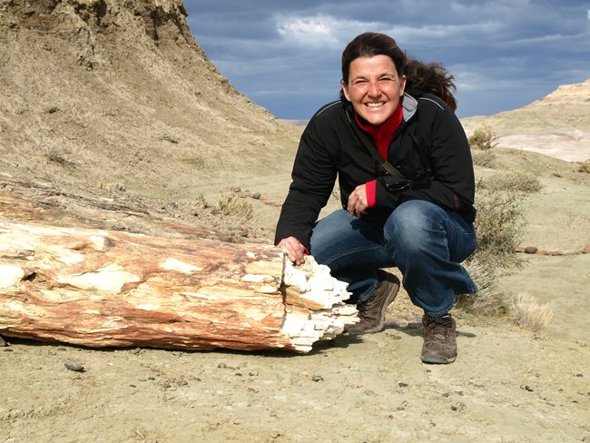 ../../Pictures/231209/002 versteinerter Wald.JPG